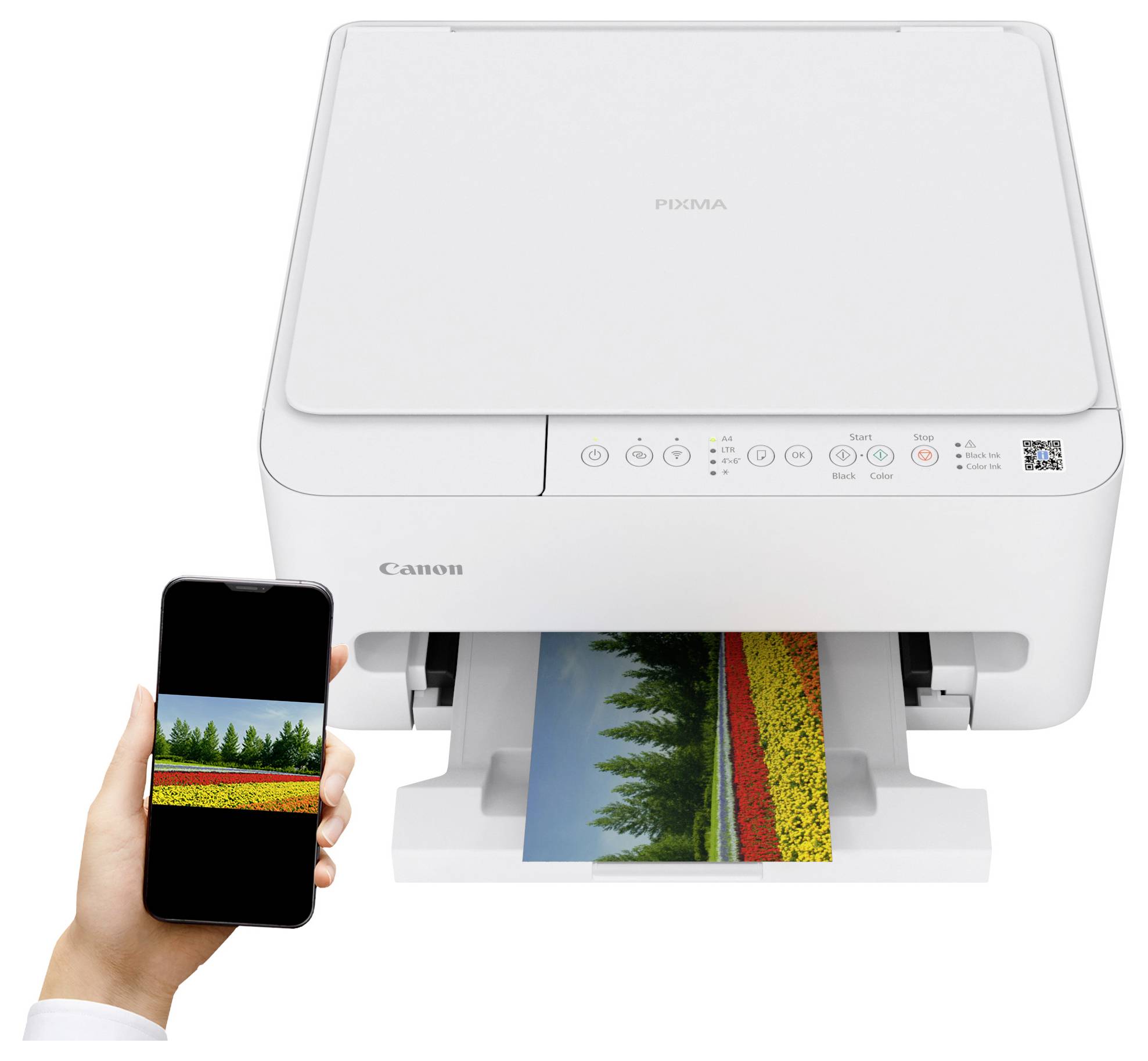 A hand holding a smartphone displaying a landscape photo next to a Canon printer printing the same image.