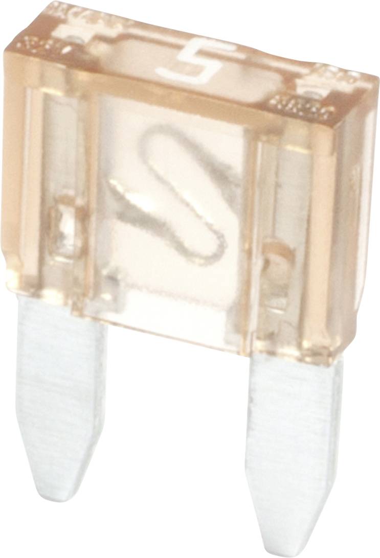 A close-up view of a small, transparent fuse marked with '5' on it, showing its metal prongs and internal wire against a white background.