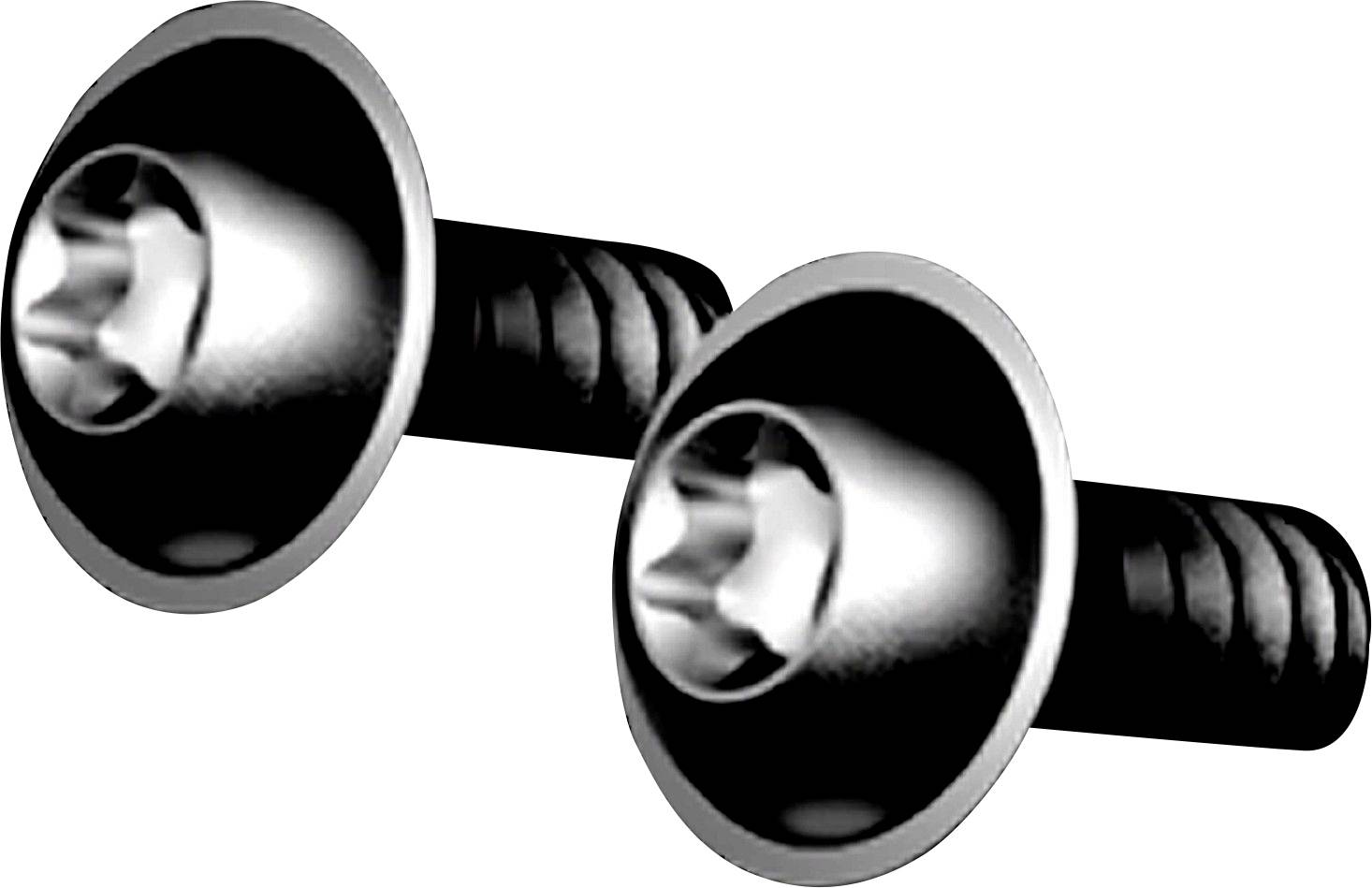 Two black screws with rounded heads and star-shaped drive recesses are shown, arranged side by side on a white background.
