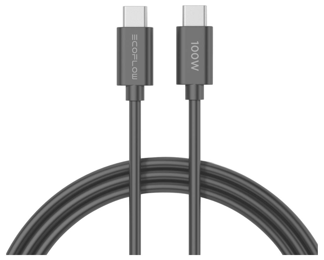 Two black USB-C cables labeled 'EcoFlow' and '100W' are displayed with shiny connectors, emphasizing high power capacity.