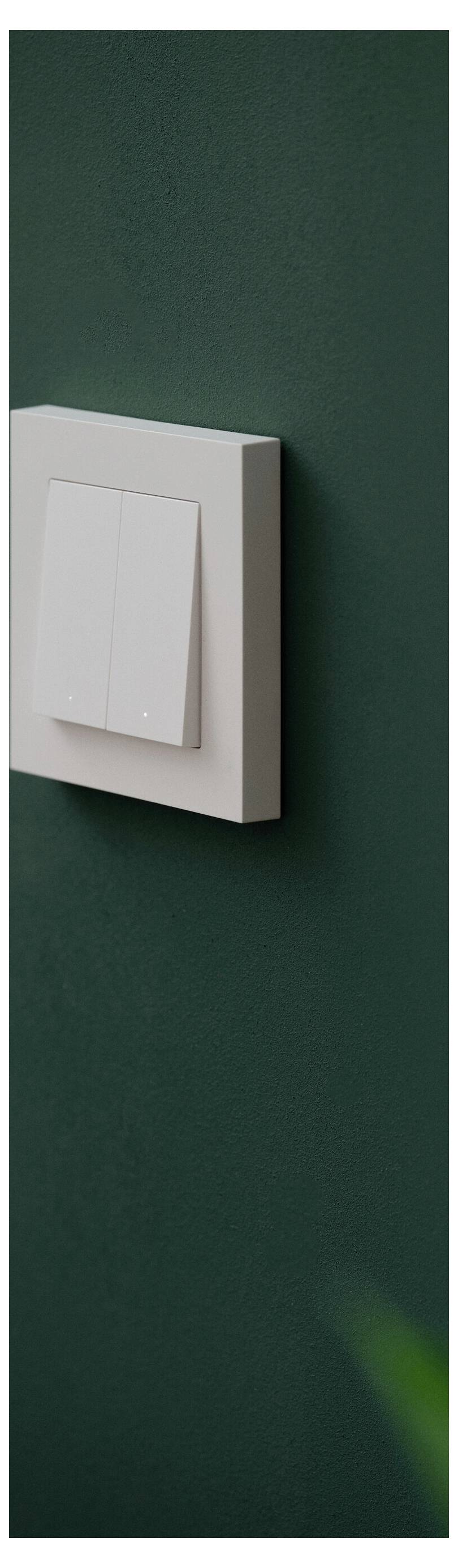 Light switch with two white toggle switches on a dark green wall.