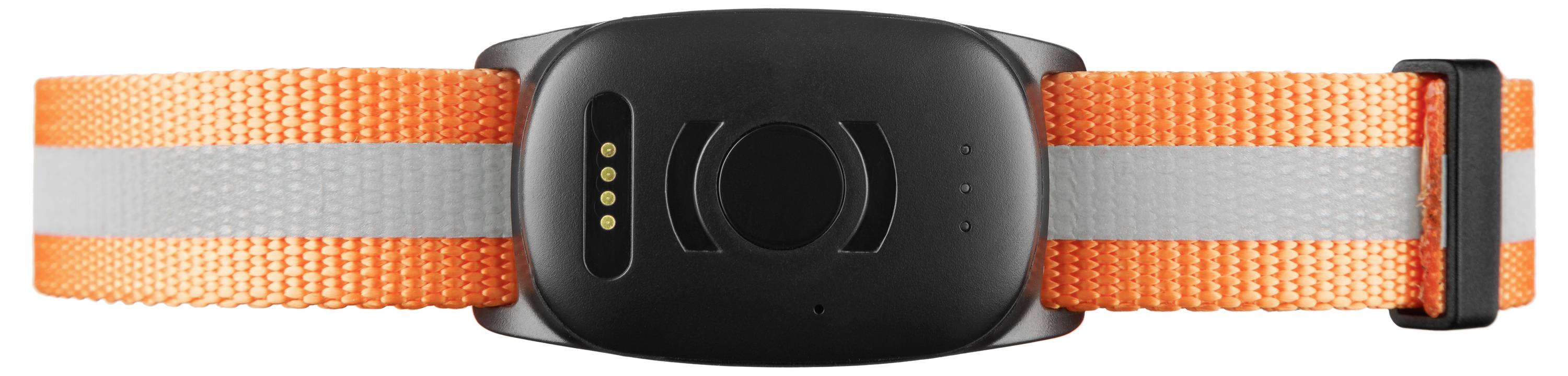 An orange and gray pet collar featuring a black electronic device with gold metal contacts, likely for tracking or identification purposes.