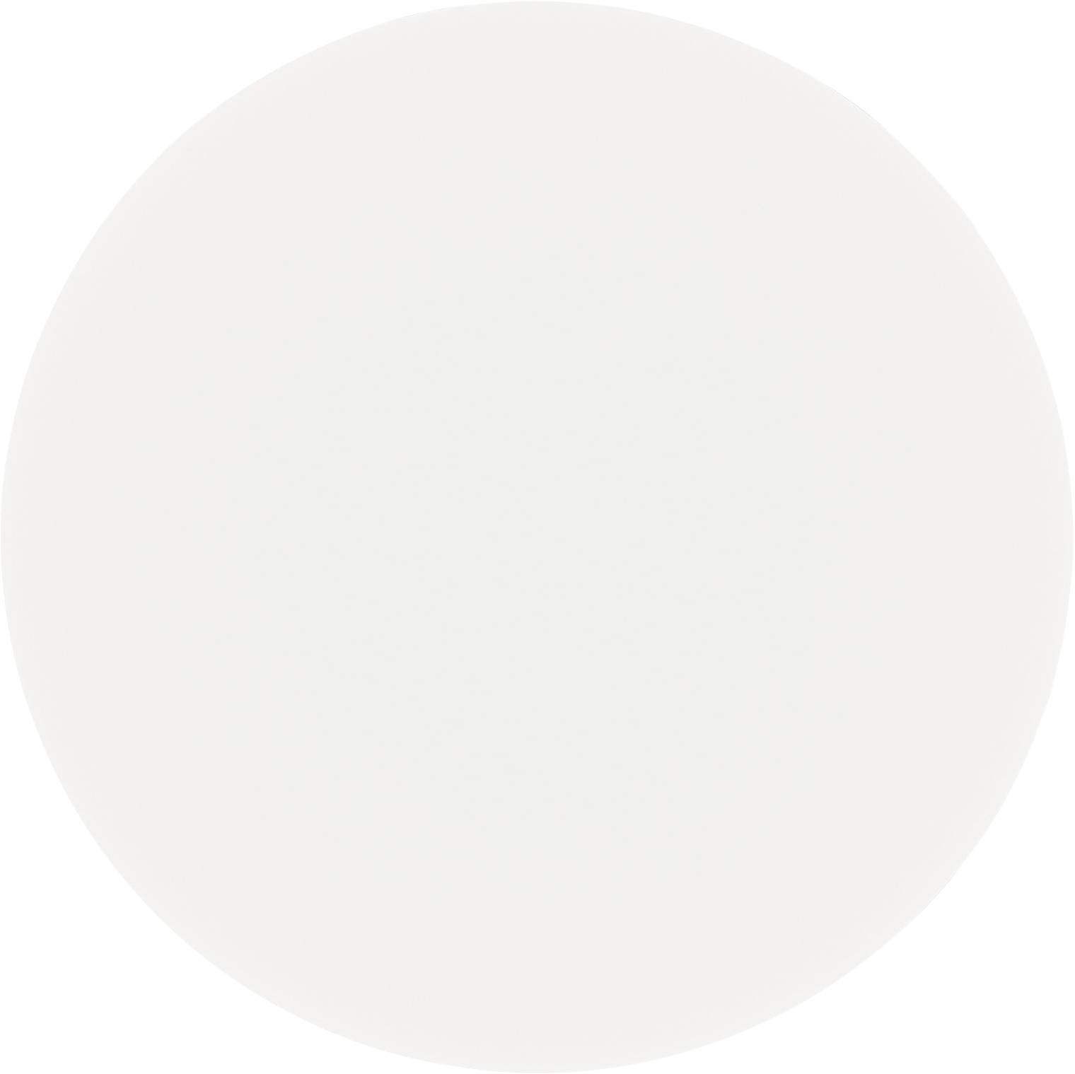 A plain white circle on a neutral background.