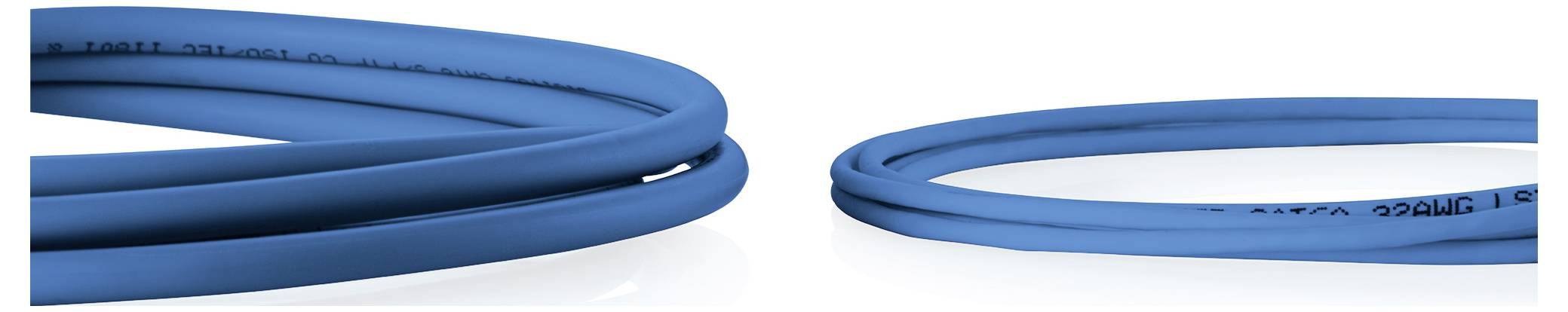 Two blue Ethernet cables with RJ45 connectors, showing close-up coiled ends on a white background.
