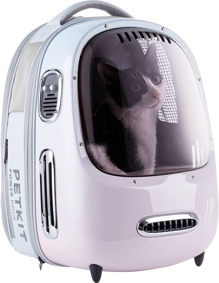 Black-and-white cat inside a transparent-front pet backpack carrier with side vents and a top handle, shown on a white background.