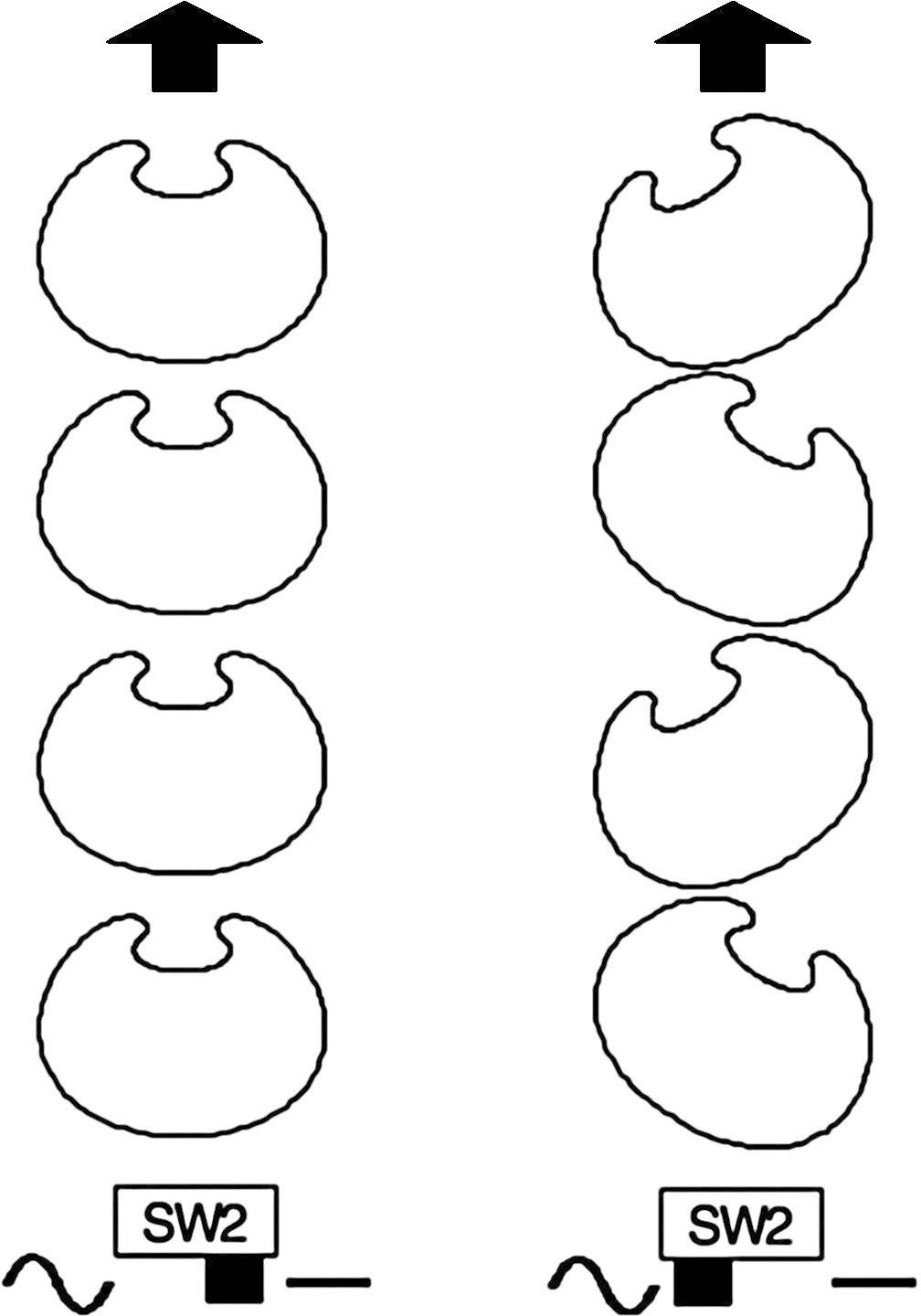 Diagram shows two columns with schematic shapes moving upwards. 'SW2' labelled at the bottom. Movement is indicated by arrows.