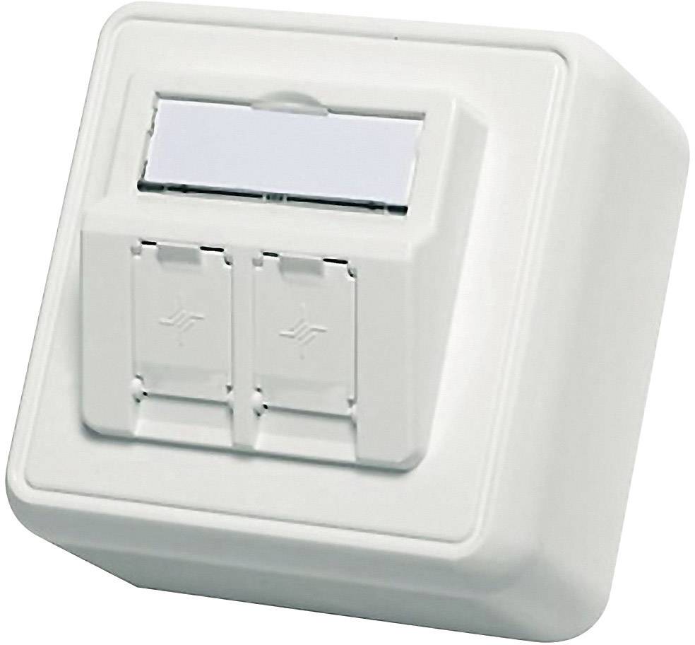 Telegärtner Network outlet Surface-mount Unequipped Alpine white