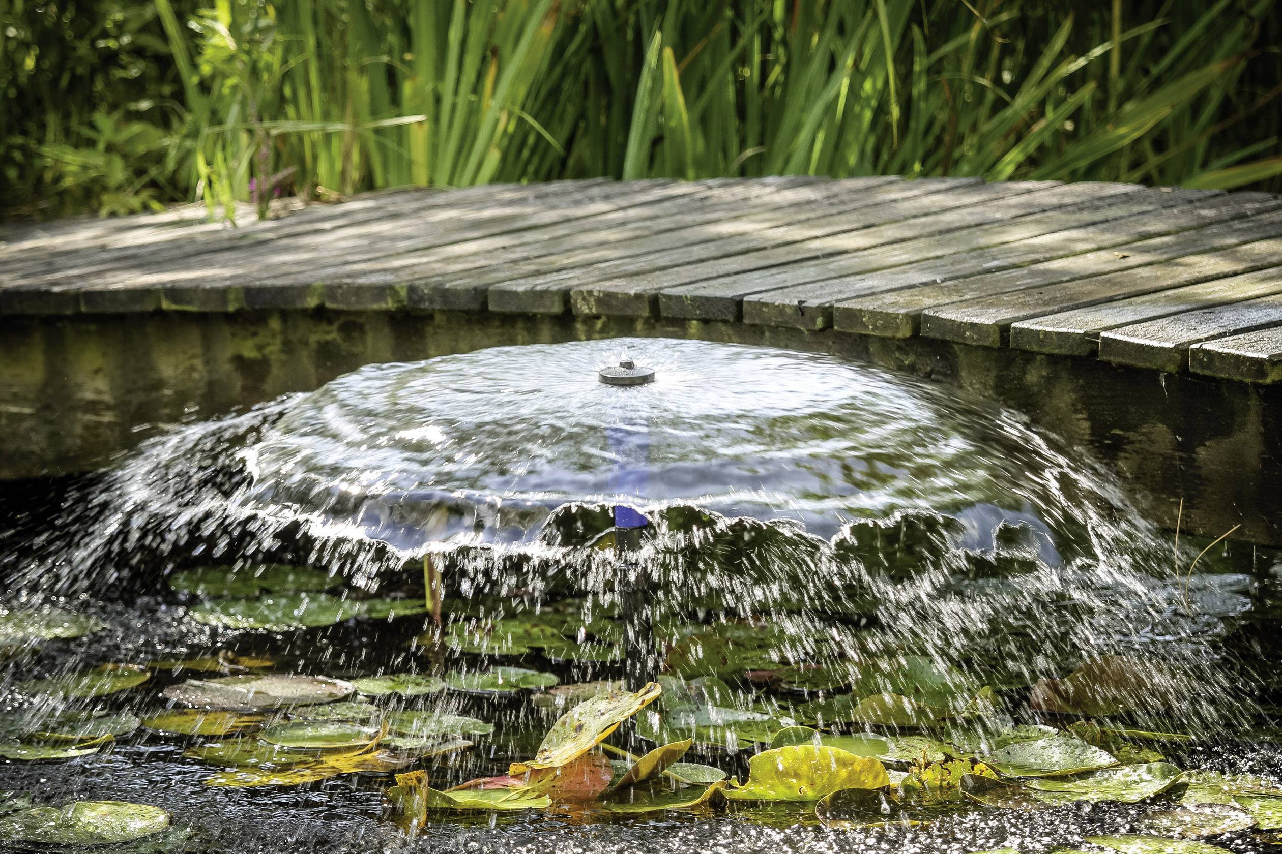 Fountain with a water jet in a pond with water lilies, surrounded by a wooden walkway and tall grasses.