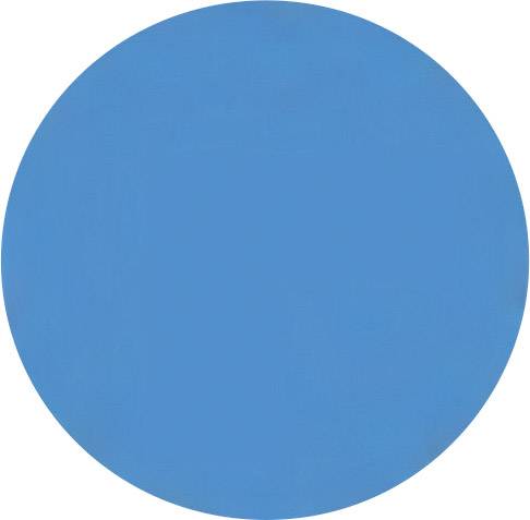 A blue circle on a white background.