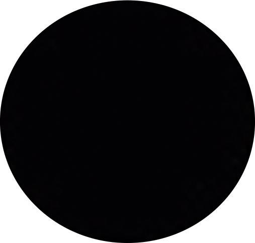 Black circle on white background.