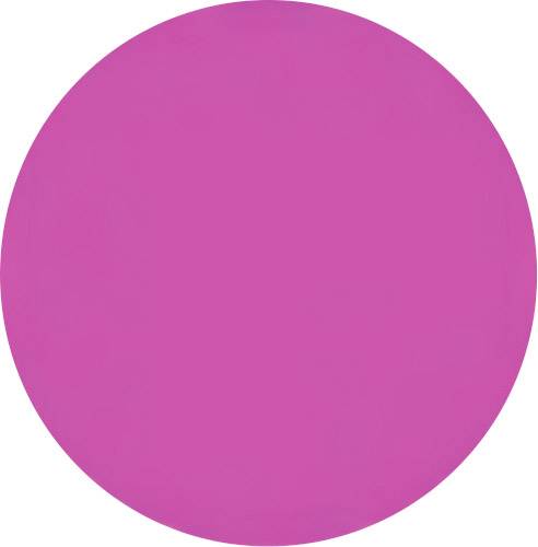 A simple, solid pink circle on a white background.