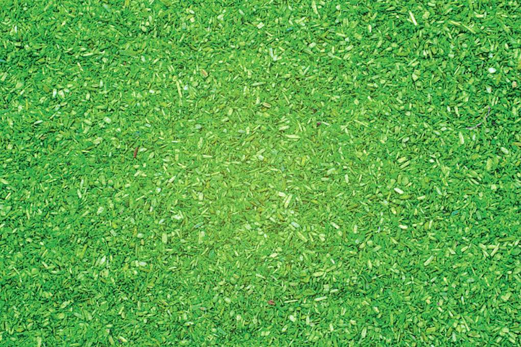 Green grassy area, uniform lawn without visible details or objects.