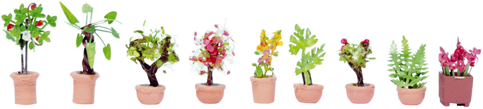 Eight small potted plants in a row; each plant has different shapes and colours of leaves and flowers.