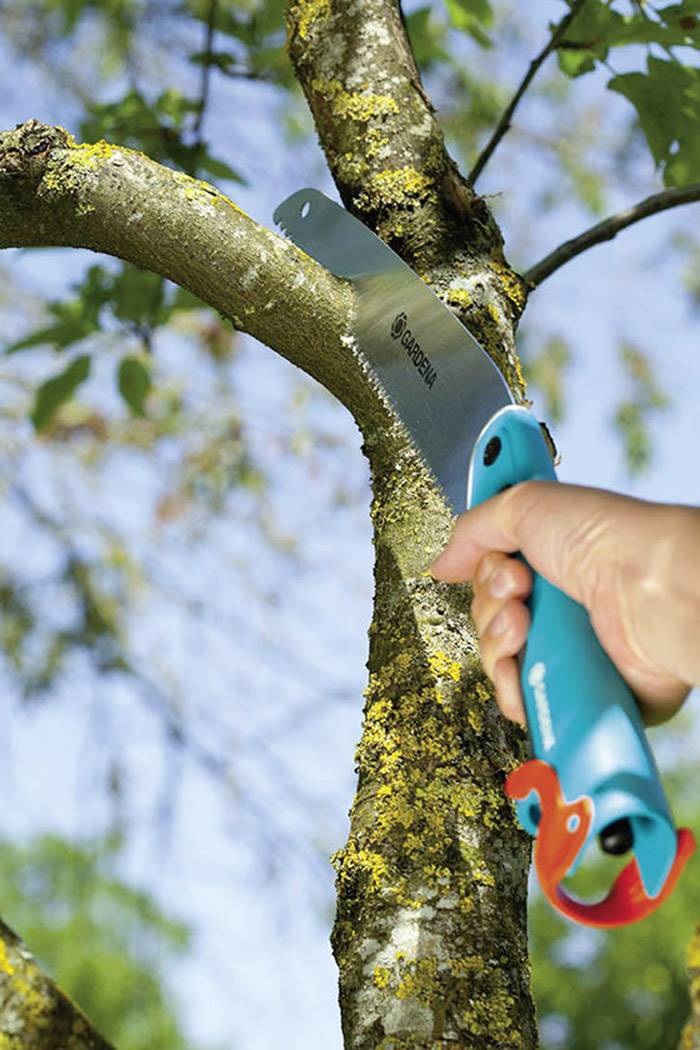 A person is sawing a branch off a tree using a handsaw. The saw has a blue handle. Leaves can be seen in the background.