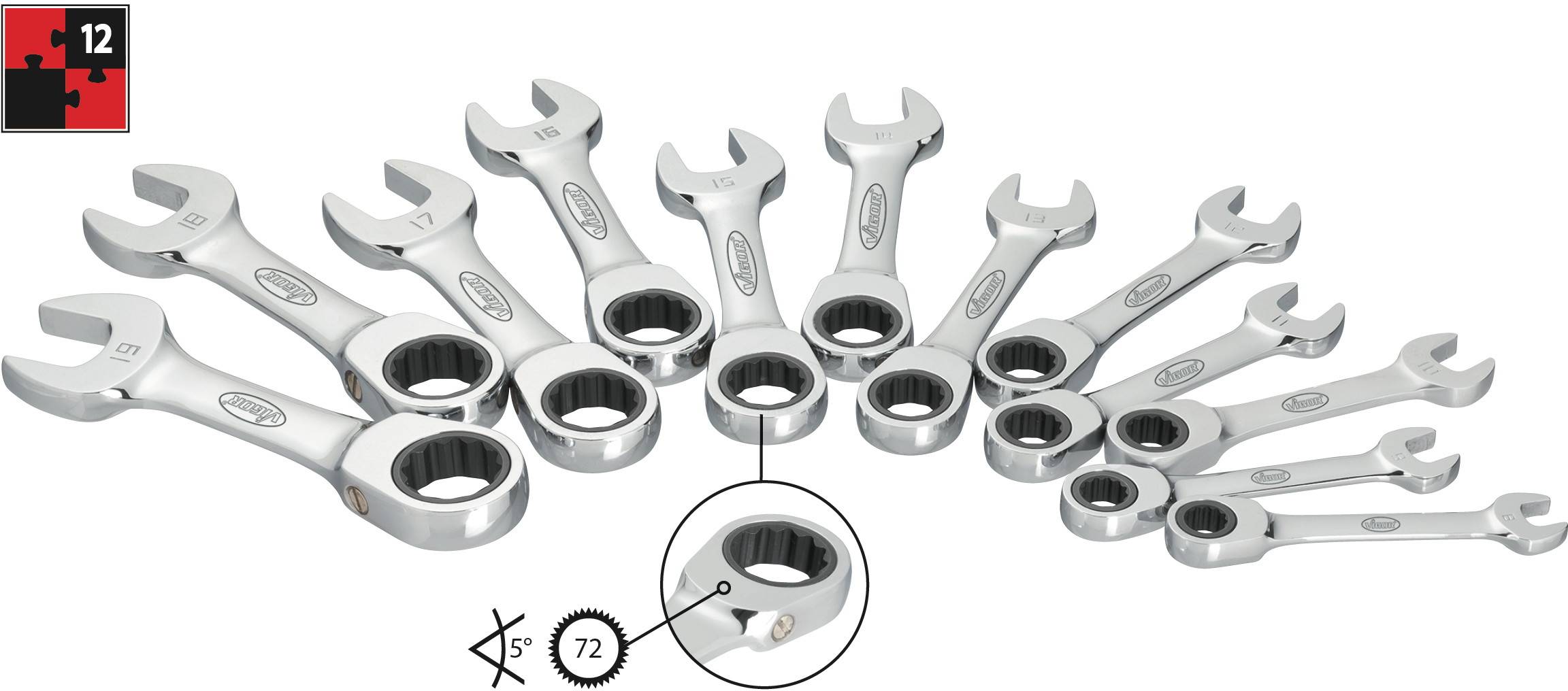 A set of twelve polished ring spanners in various sizes, made of chrome vanadium steel, on a white background.