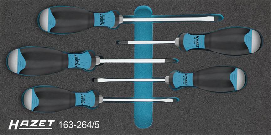 Hazet Workshop Screwdriver set 5-piece Slot, Phillips