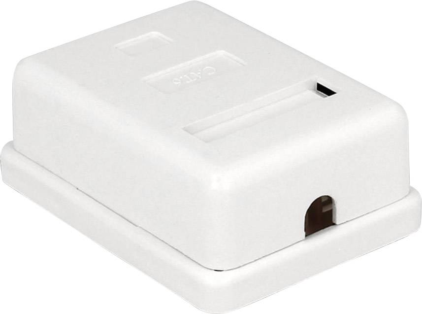 Delock 86169 Network outlet Surface-mount, Assembly Insert with main panel and frame CAT 6 1 port White