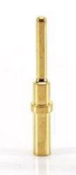 A golden, cylindrical metal pin, vertically positioned, on a white background.