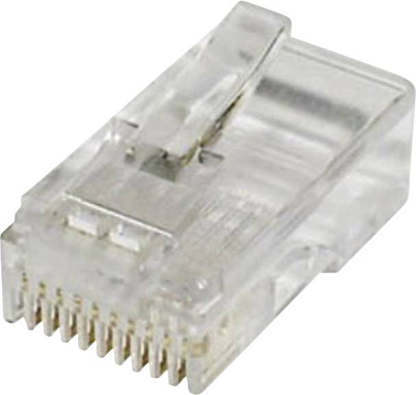 econ connect MPL10/10 Modular plug MPL10/10 Plug, straight Pins: 10 Clear