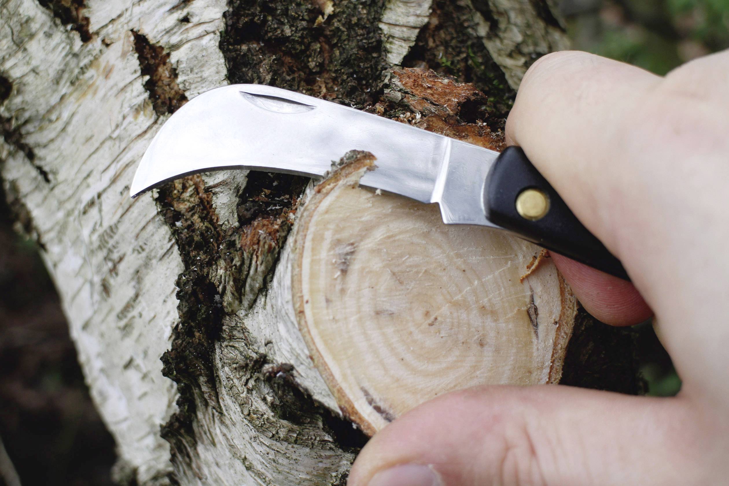 A knife is used to scrape the bark off a tree. A close-up shows a hand holding the knife.