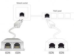 Delock RJ45 Networks Adapter CAT 5 [1x RJ45 plug - 2x RJ45 socket] 15.00 cm White