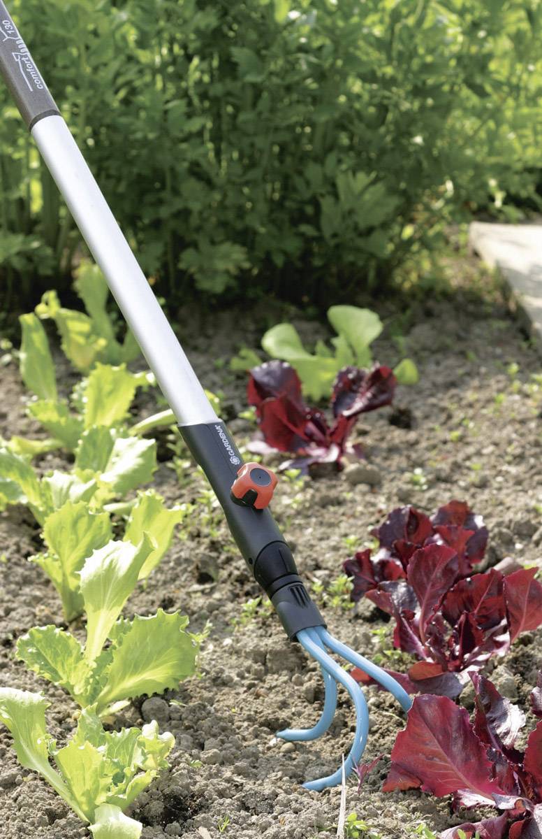 A gardening tool cultivates the soil between green and red lettuce in a garden bed, surrounded by lush greenery.