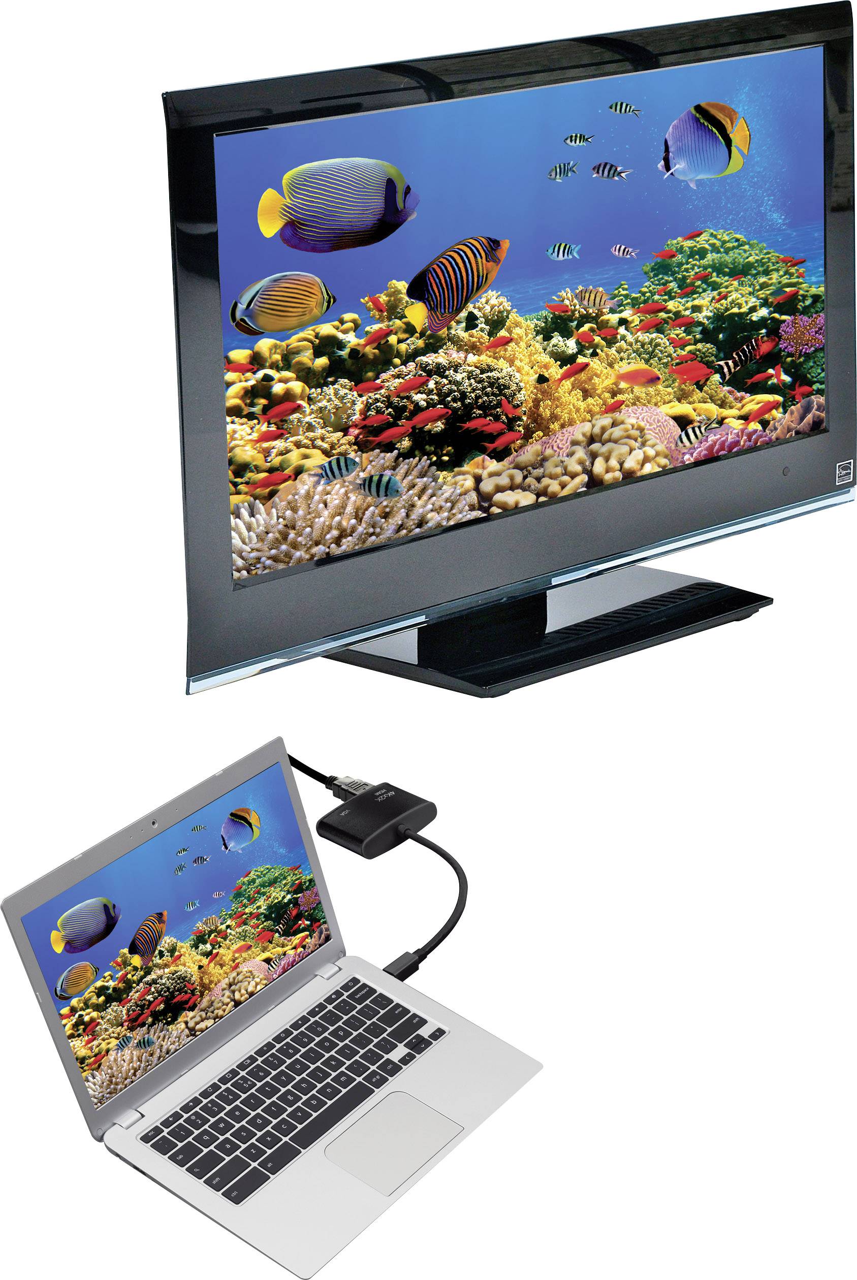 Renkforce Mini Displayport to HDMI + VGA adapter