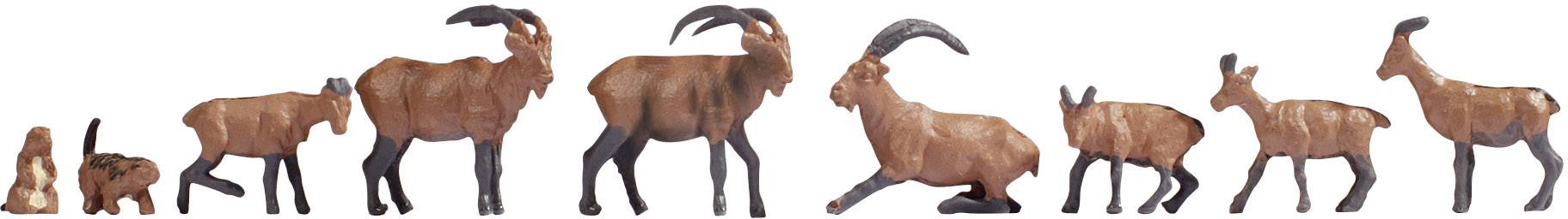 Wooden model series of animals, ascending from a small seated animal on the left to a large standing animal on the right.