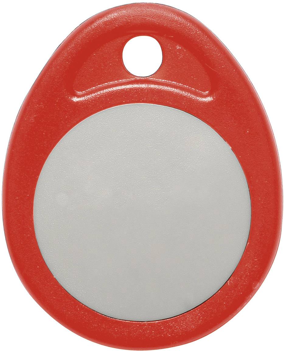 Round red keyring with grey centre and hole for attaching to a set of keys.
