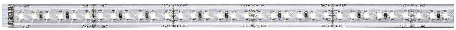 Paulmann MaxLED 1000 70676 LED strip extension + plug 24 V 1 m Warm white