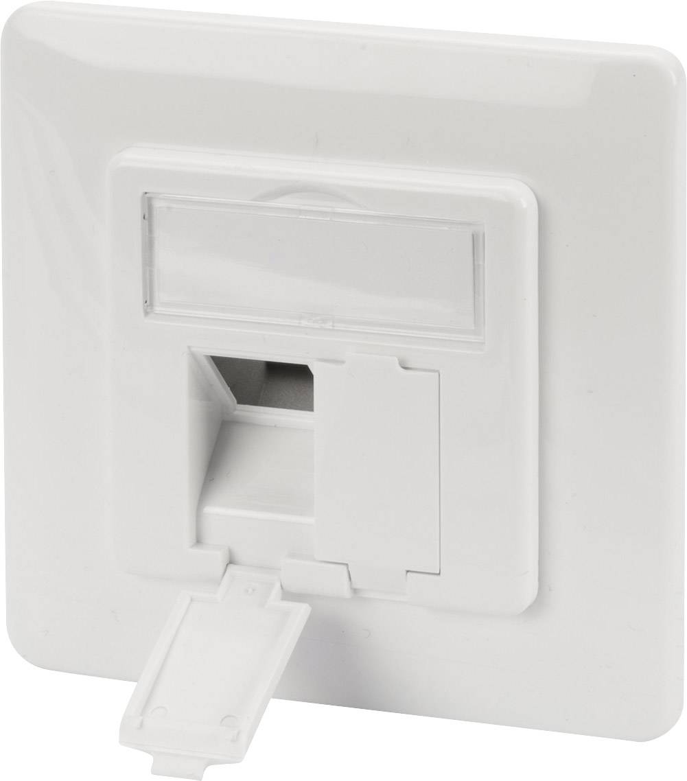 Digitus Fasteners Insert