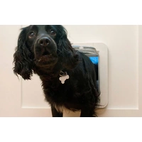 SureFlap Mikrochip Pet door Pet door flap White 1 pc(s) SureFlap Mikrochip Pet door Pet door flap White 1 pc(s)