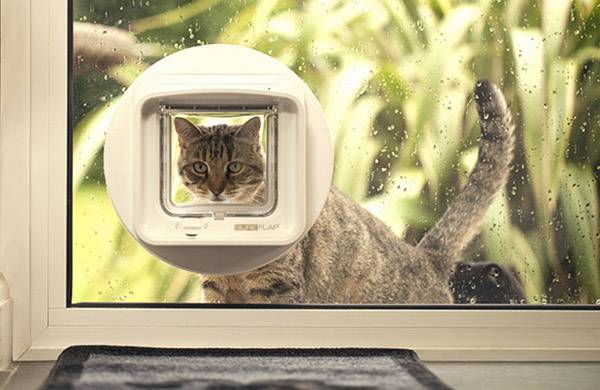 SureFlap Mikrochip DualScan Pet door flap White 1 pc(s)