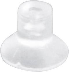 Kash Suction cup 1.1.100000 Clear, Transparent