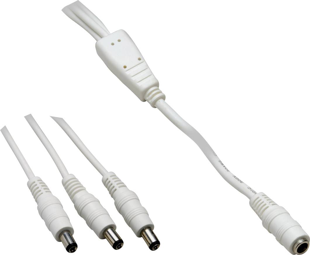 Three white network adapter plugs converging into a single cable.