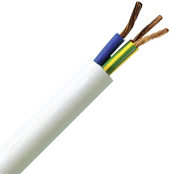 A white electrical cable with three internal coloured wires: blue, green-yellow, and brown, visible at one end.