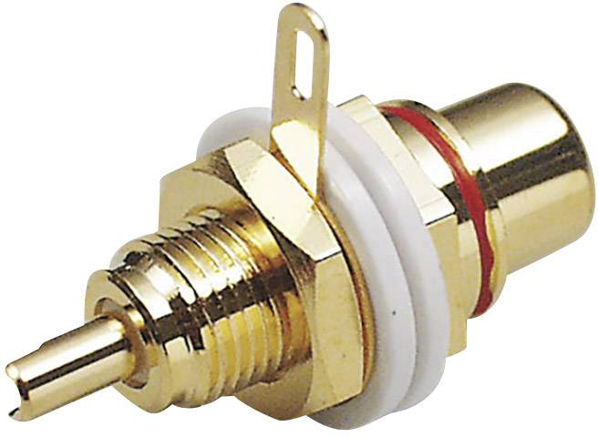A gold-coloured coaxial plug used for transmitting video signals. It has a screw thread and a white insulation.
