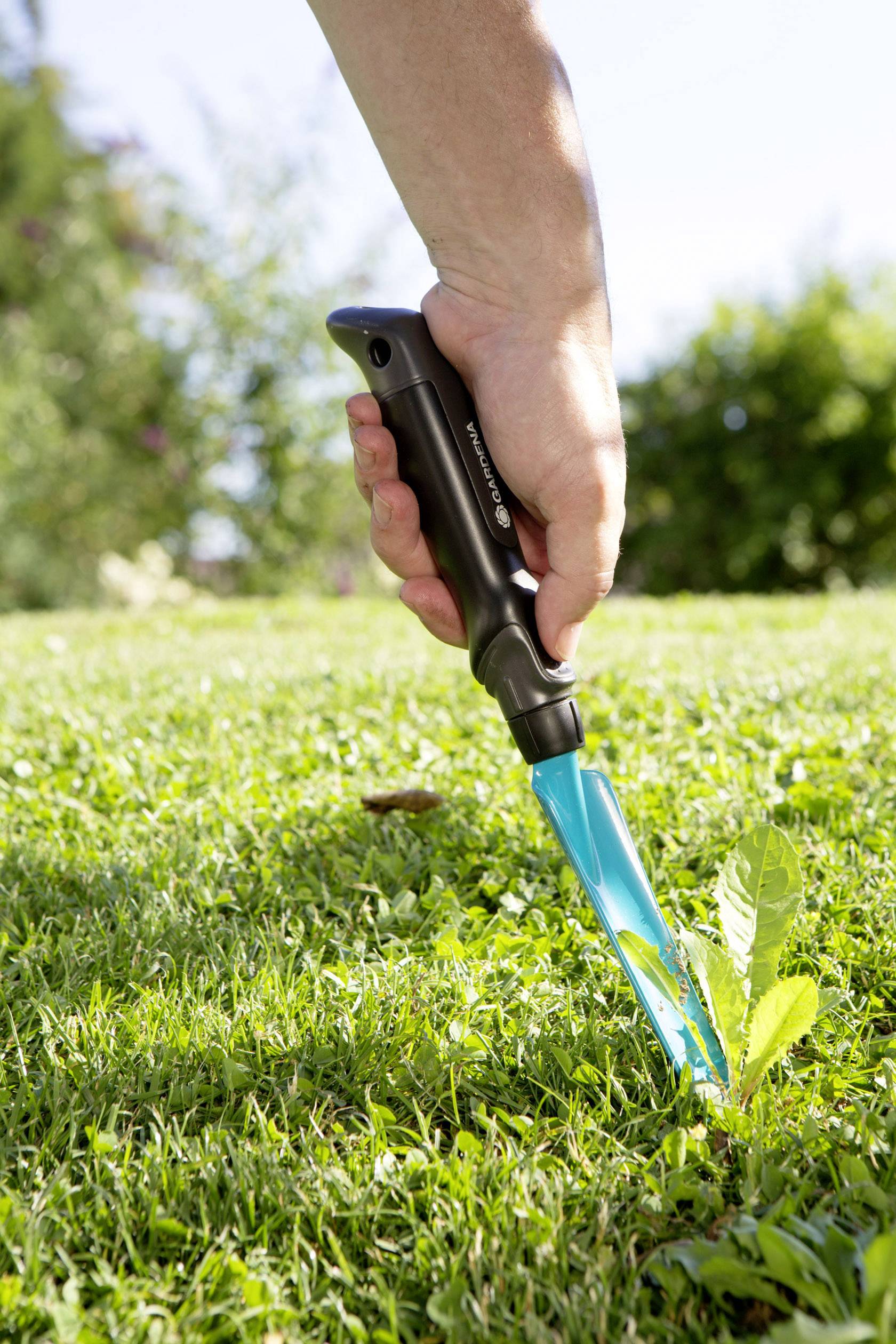 A hand is using a weeding tool to remove weeds from a grass-covered garden.