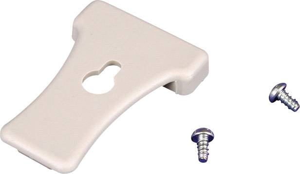 A beige plastic component with a keyhole opening, accompanied by two metal screws.