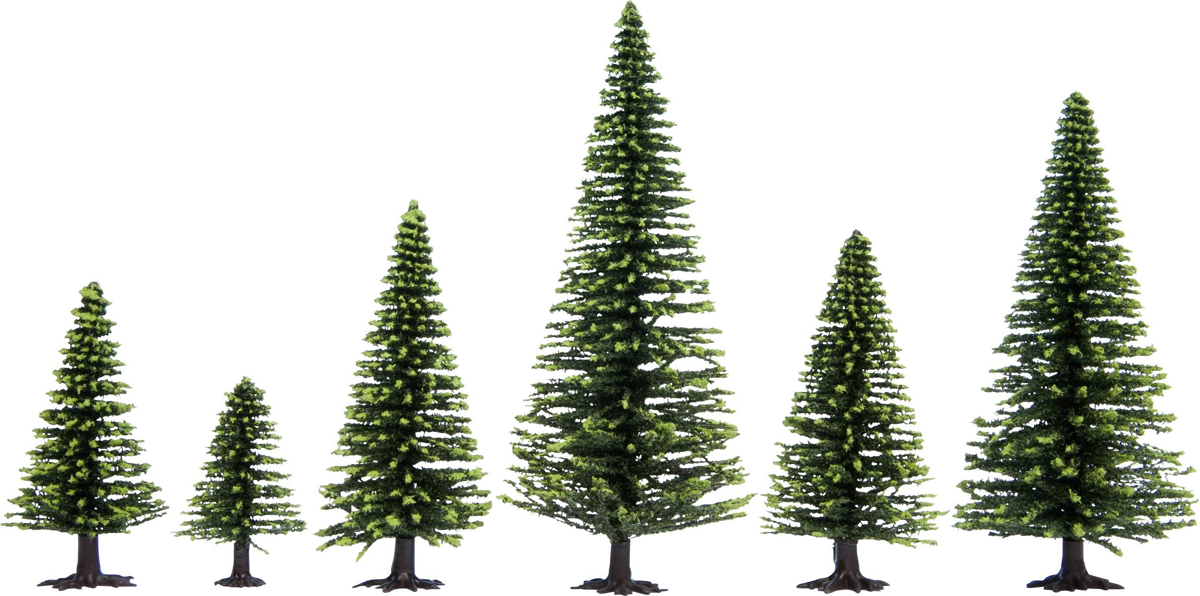 Six differently sized, green fir trees stand side by side in a row on a white background.