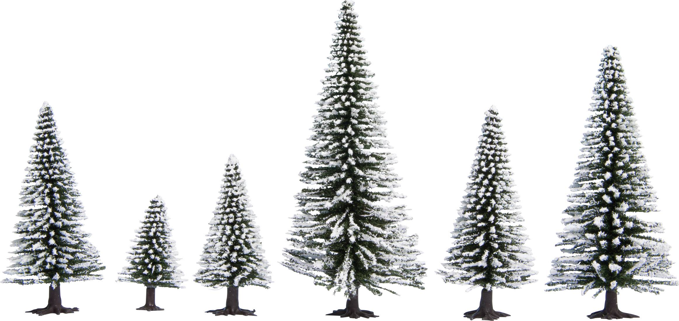 Six snow-covered pine trees of various sizes on a white background.