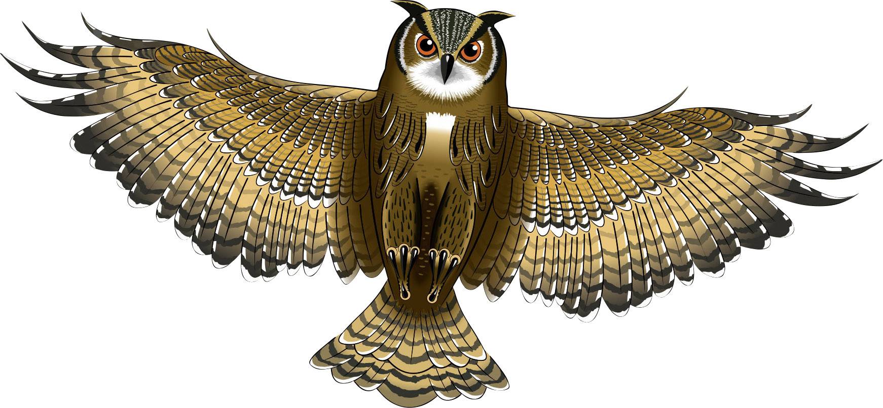 Single line Kite Günther Flugspiele Owl Wingspan 1220 mm ATT.FX.WIND_FORCE_SUITABILITY 3 - 6 bft