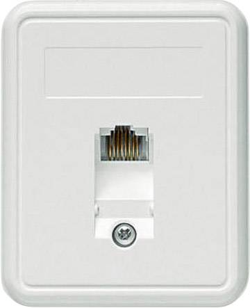 Telegärtner Network outlet Surface-mount CAT 5e 1 port Alpine white