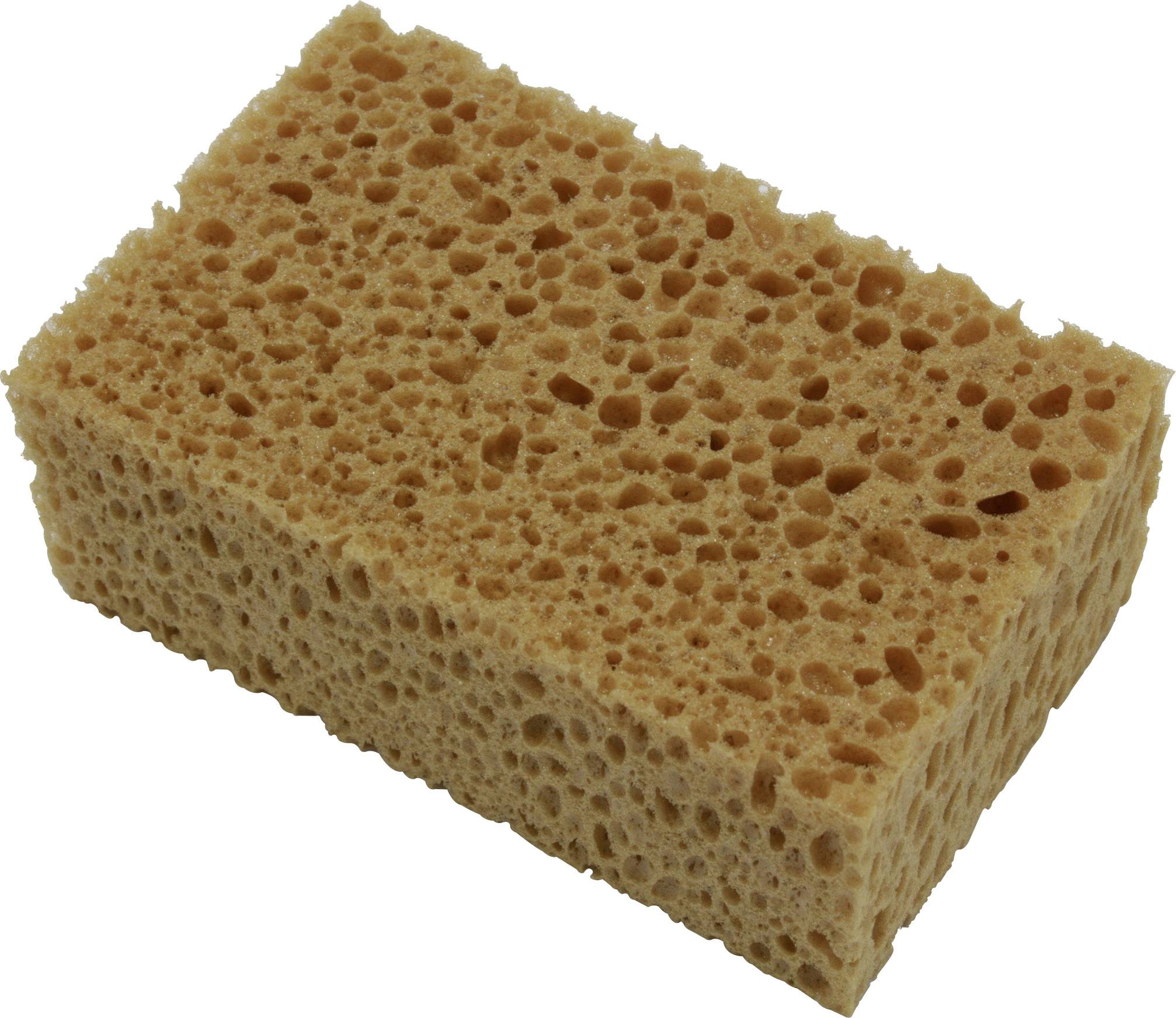 Brown household sponge with a coarse-pored structure, rectangular.