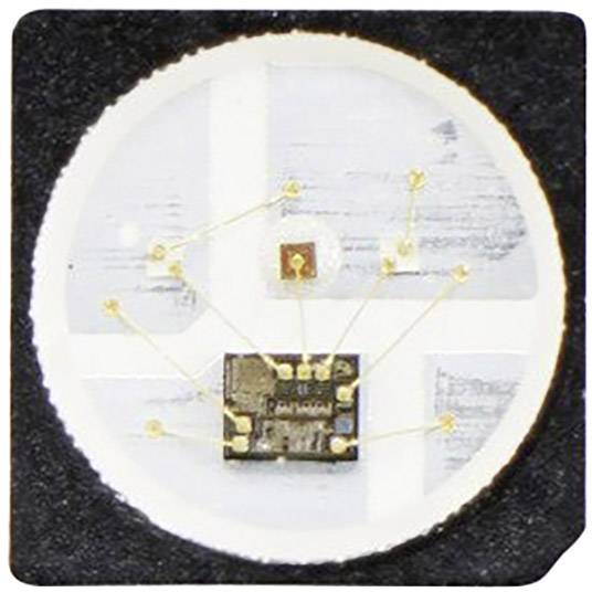 Ein Mikrochip mit mehreren Anschlüssen auf einer runden, weißen Platte montiert, umgeben von einem schwarzen Rahmen.