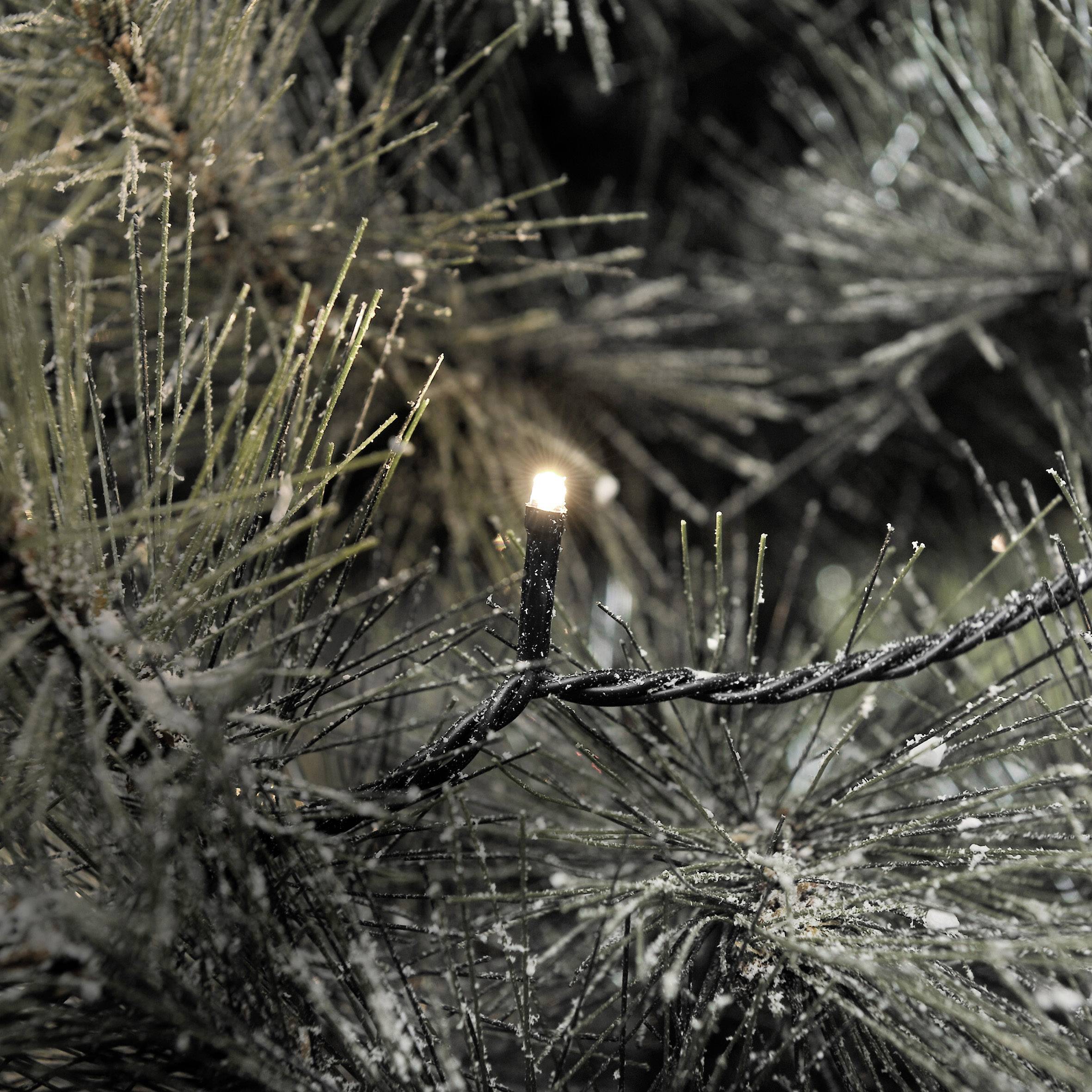 Konstsmide 3610-140 Micro holiday lights Outside mains-powered No. of bulbs 40 LED (monochrome) Warm white Illuminated length