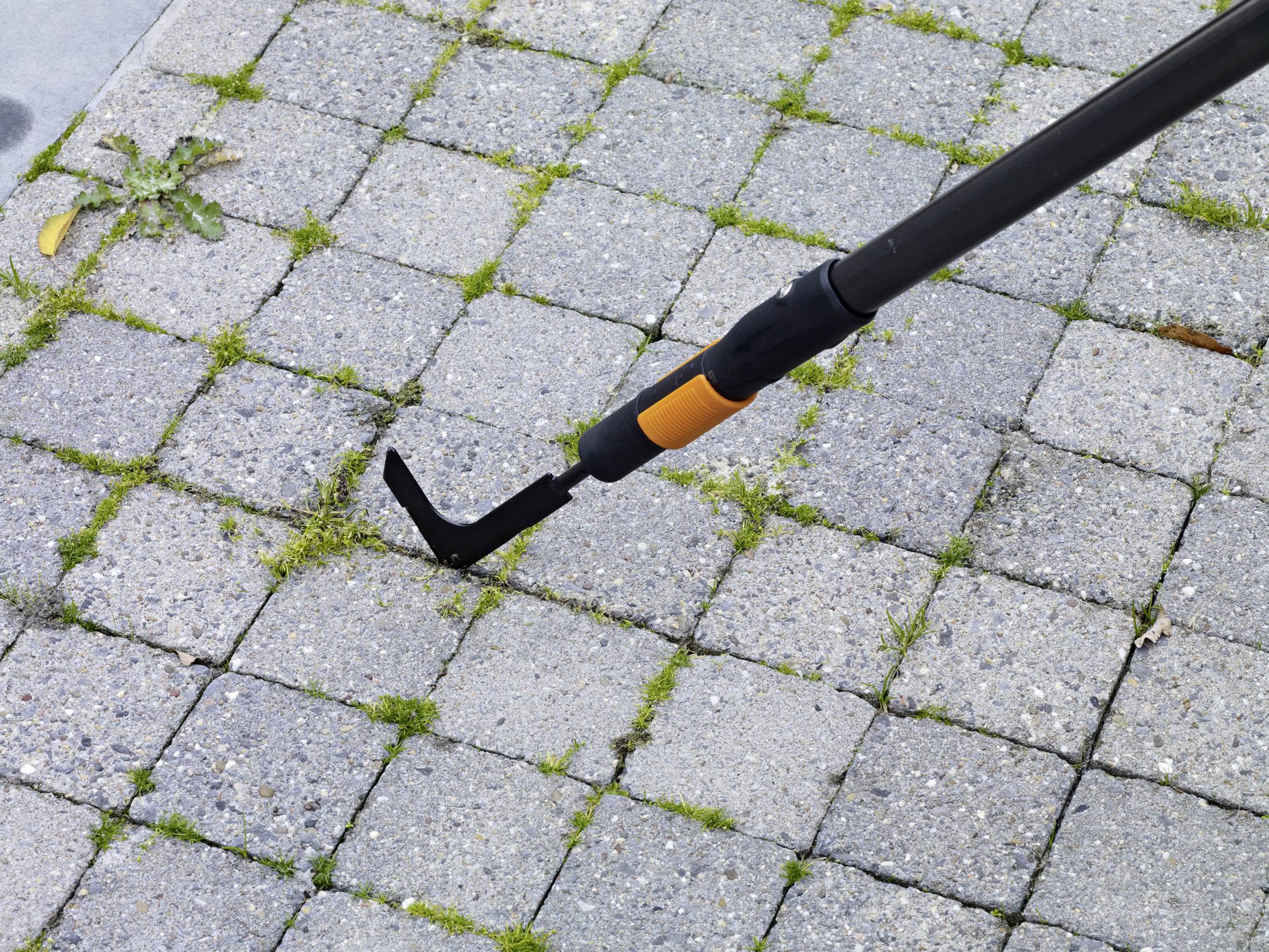 A weeding tool is used to remove weeds growing between concrete paving stones in a pathway.