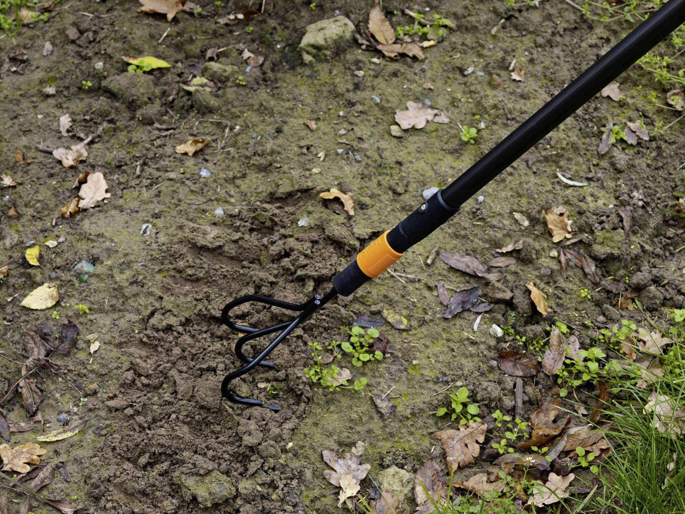 A hand rake is working the soil in the garden, surrounded by leaves and grass, which indicates garden work in autumn.