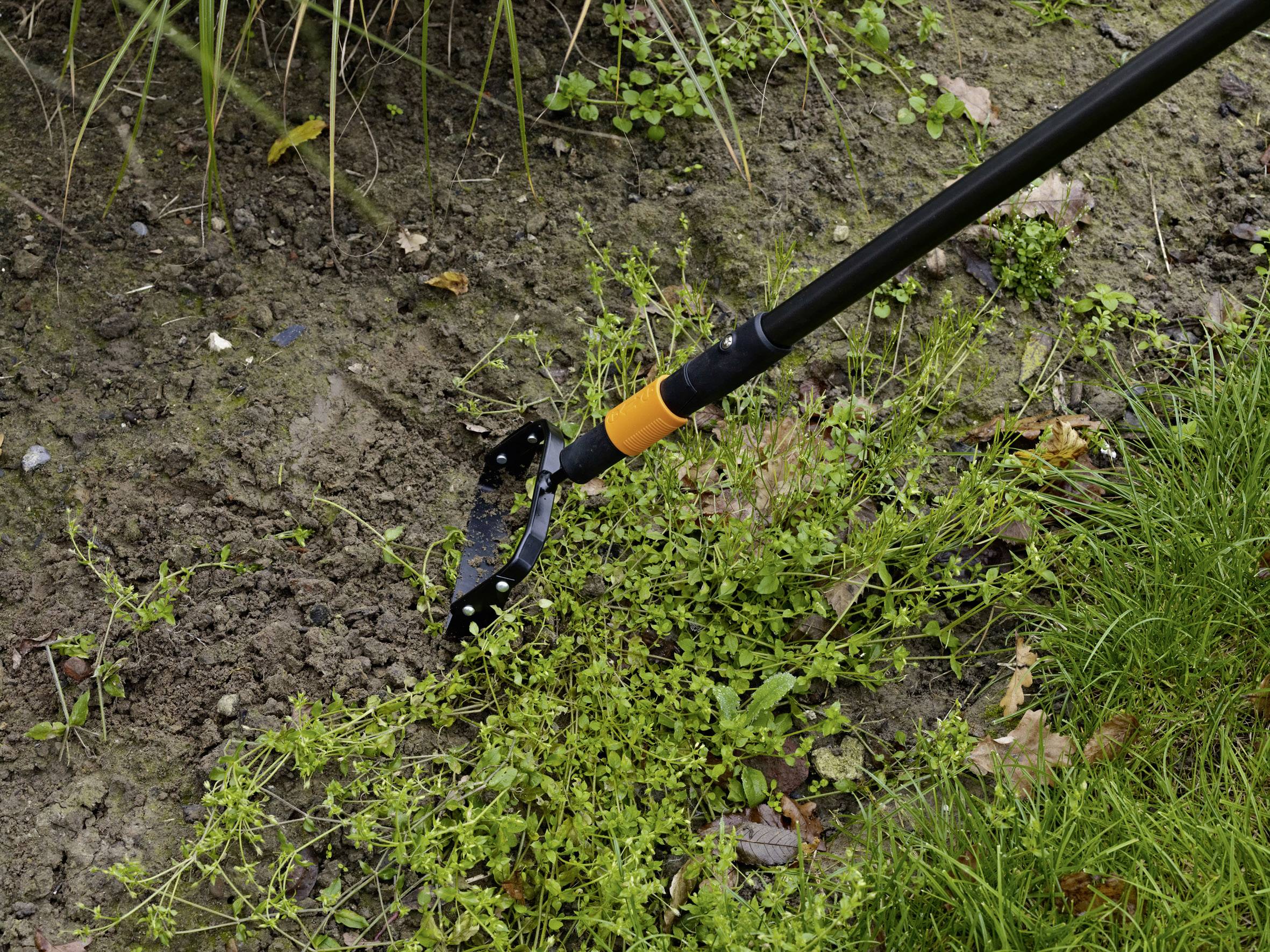 A person is removing weeds from a garden using a hand weeder. The ground is earthy with green plants and grass surrounding the area.