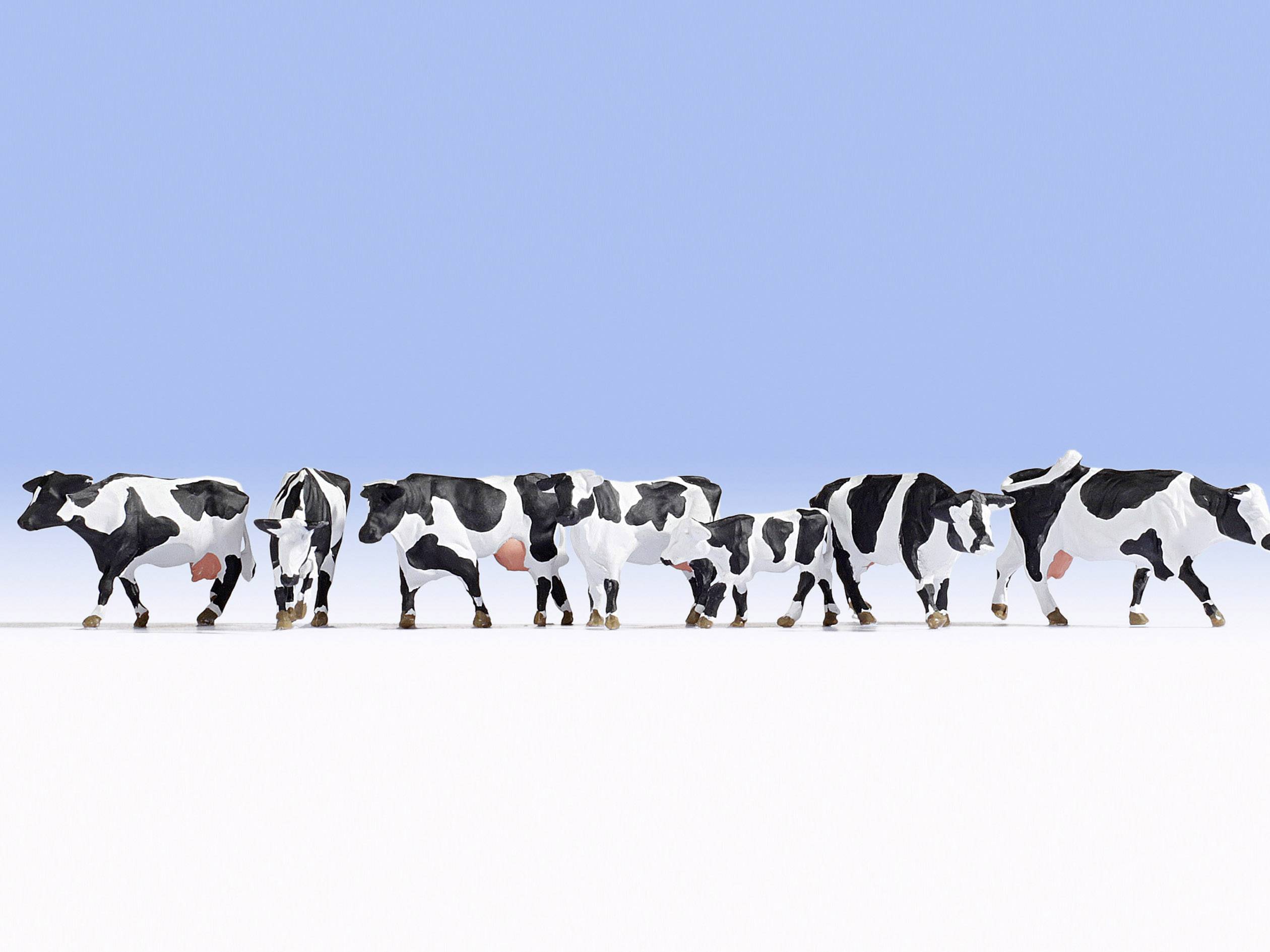 Six black-and-white spotted cows are standing side by side on a light surface against a clear blue sky.